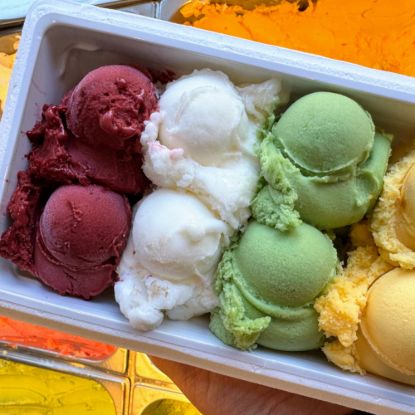 Karışık Dondurma (750 gr.) resmi